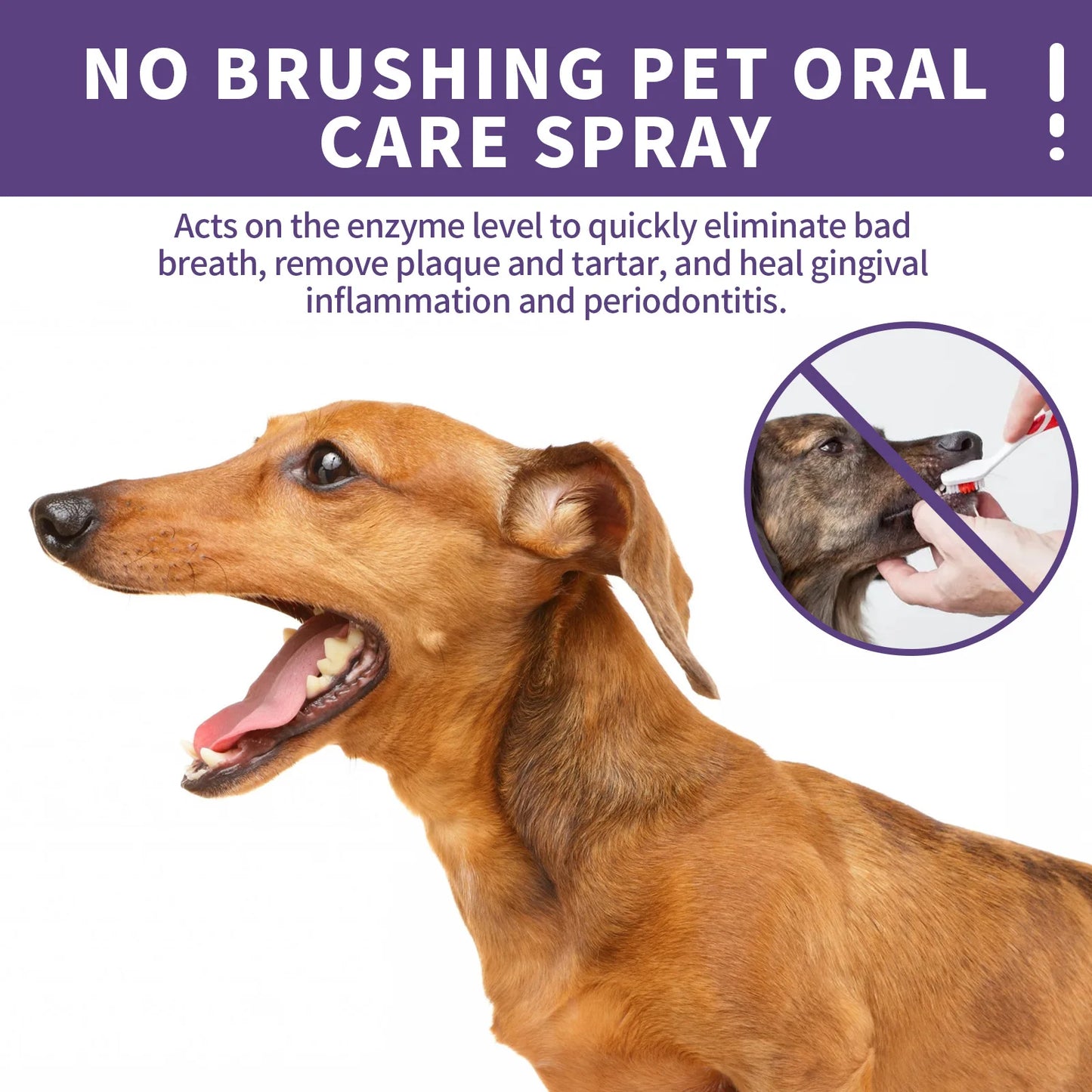 Pet Oral Clean Spray Dogs Cats