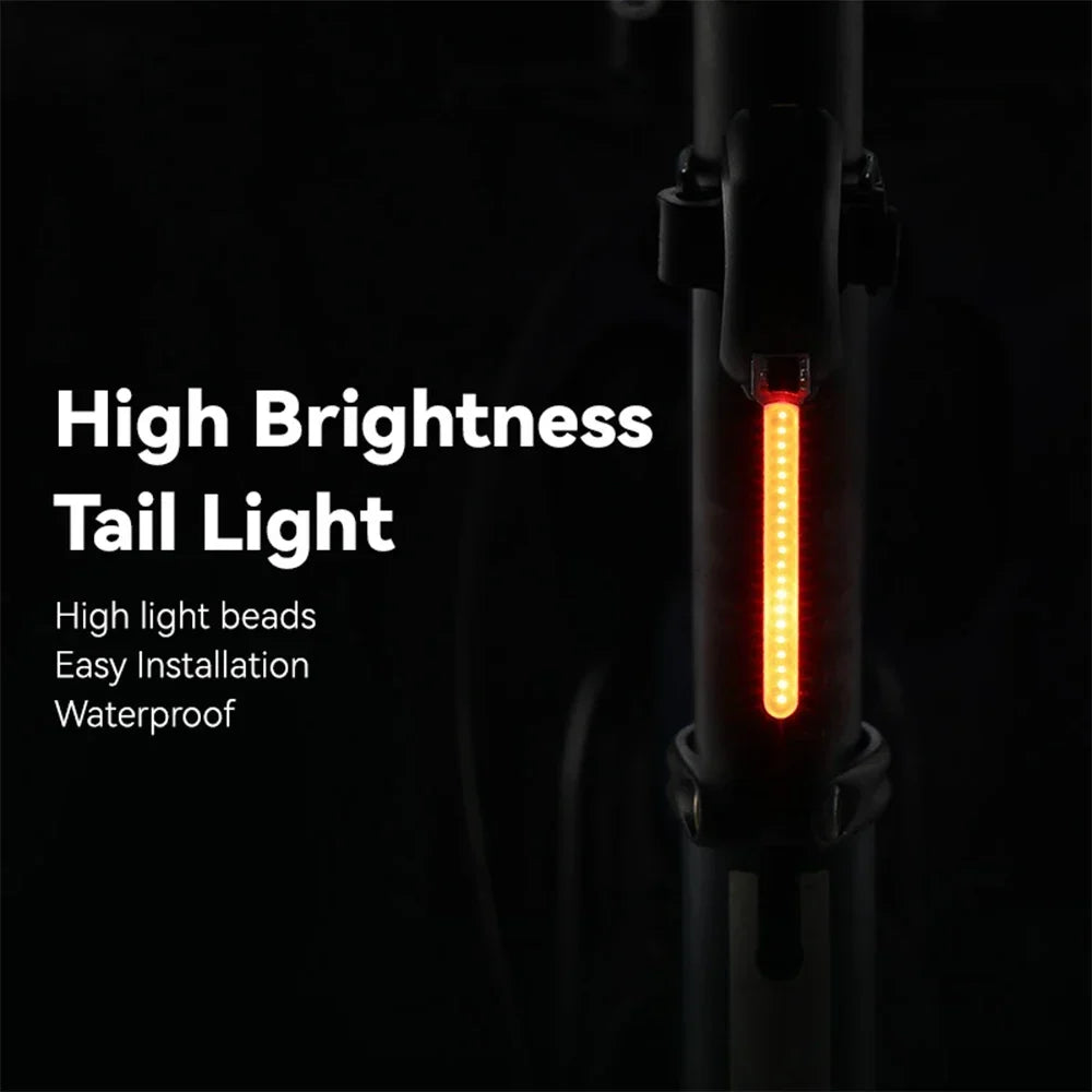 Rear Bicycle Tail Light
